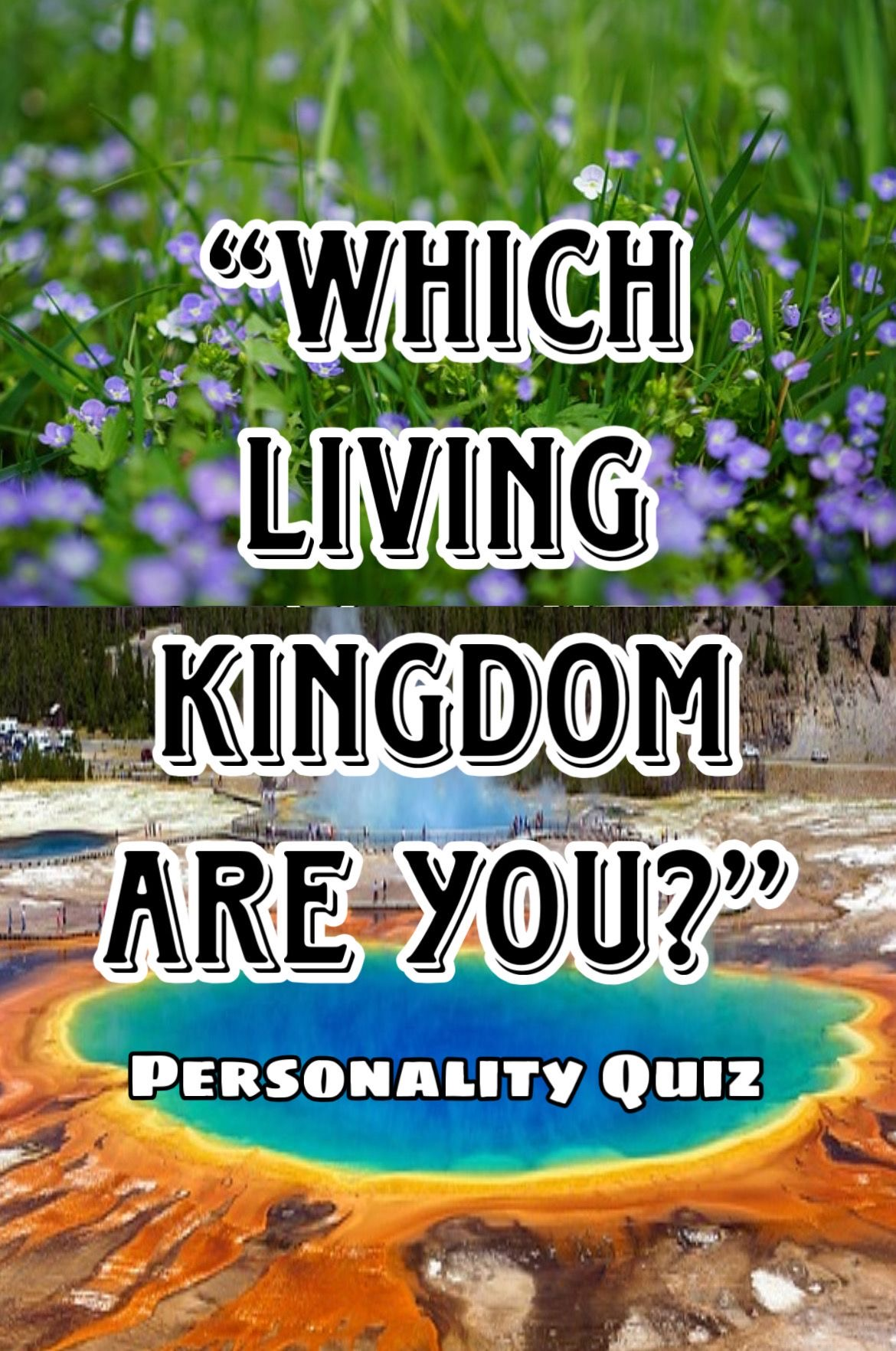which living kingdom are you personality quiz