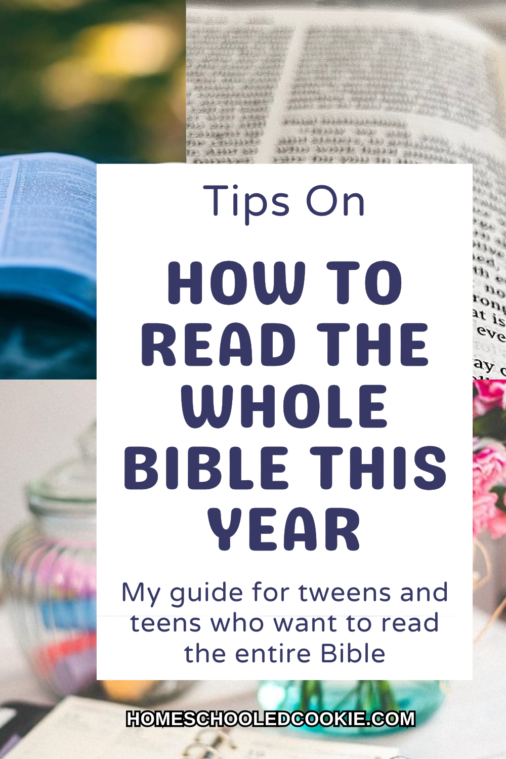 how to read the whole Bible this year