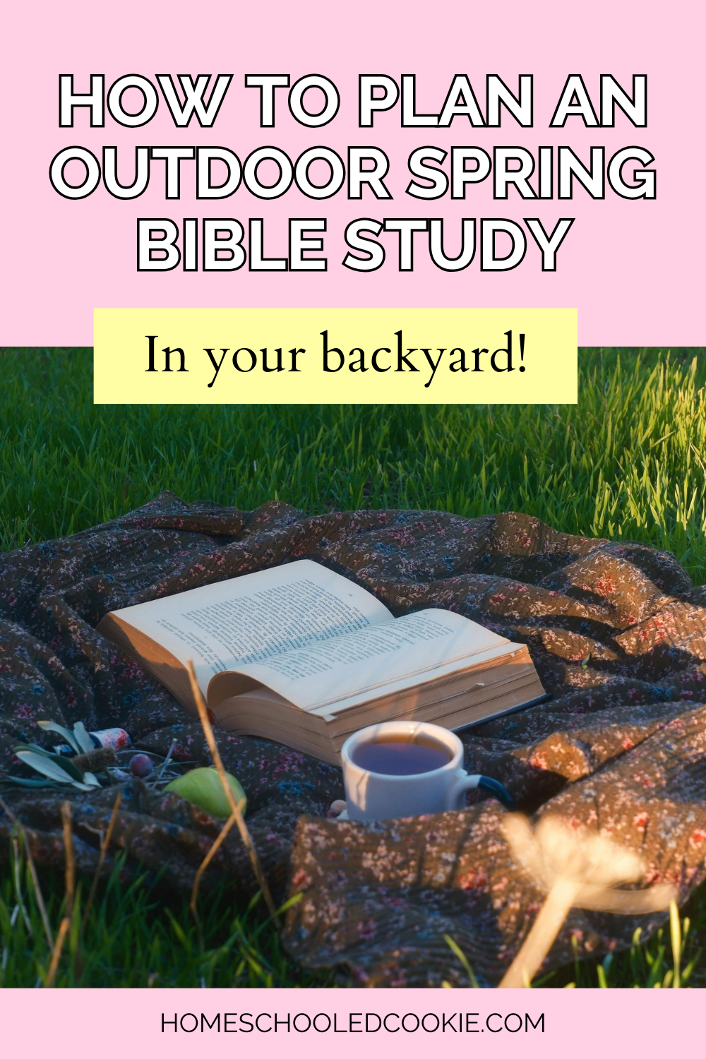 How to Plan an Outdoor Spring Bible Study in Your Backyard