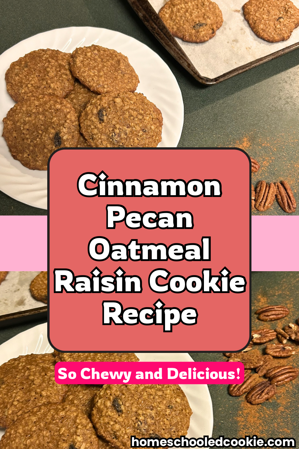 Chewy Cinnamon Pecan Oatmeal Raisin Drop Cookie Recipe